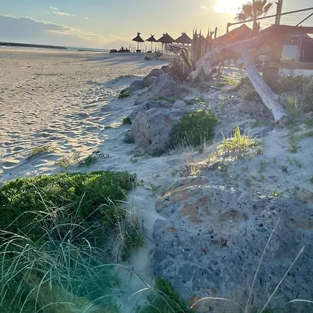 Le Taos De Celia Le Grau-dʼAgde