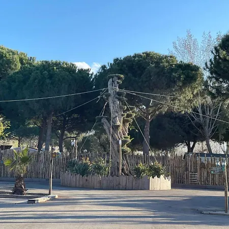 Le Taos De Celia