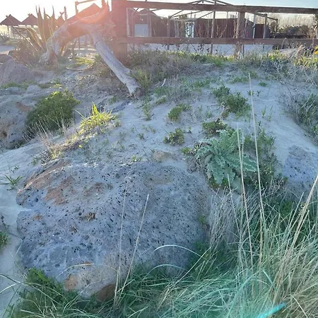Campingplatz Le Taos De Celia *